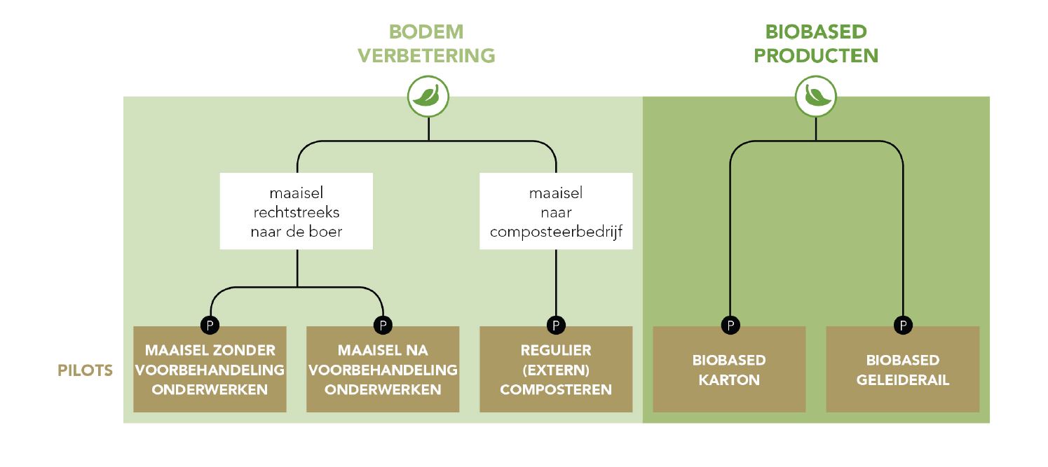 Pilots schema