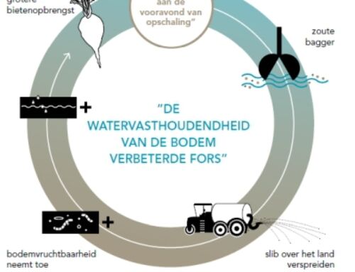 Pilot Waarde van Waddenslib
