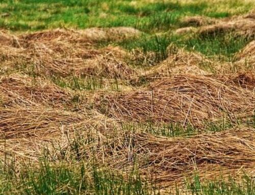 Agroproeftuin de Peel
